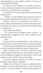 Fram, Ursul polar, de Cezar Petrescu - Publisol.ro