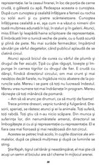 Fram, Ursul polar, de Cezar Petrescu - Publisol.ro
