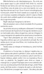 Fram, Ursul polar, de Cezar Petrescu - Publisol.ro