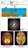 Geometria Sacra si Simbolismul spiritual. Planul pentru creatie, de Donald B. Carroll