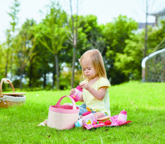 Hape cosuletul de picnic, Hape - Publisol.ro