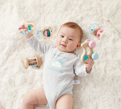 Hape set 5 jucarii zornaitoare, Hape - Publisol.ro