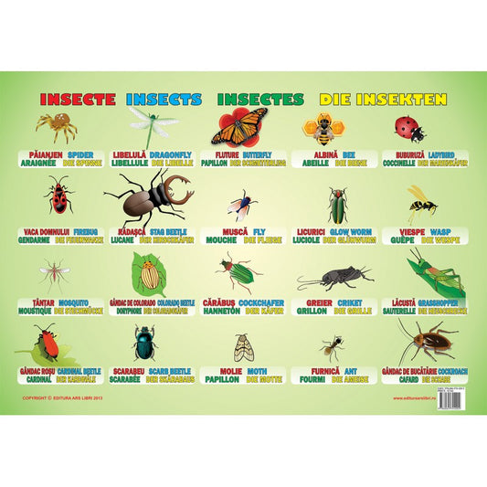Plansa - Insecte (plansa 50x70cm, de romana, engleza, franceza, germana), de Colectiv Ars Libri