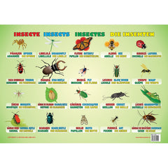 Plansa - Insecte (plansa 50x70cm, de romana, engleza, franceza, germana), de Colectiv Ars Libri