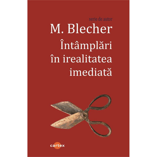 Intamplari in irealitatea imediata, de M. Blecher - Publisol.ro