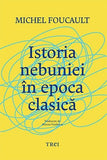 Istoria nebuniei în epoca clasică, de Michel Foucault - Publisol.ro