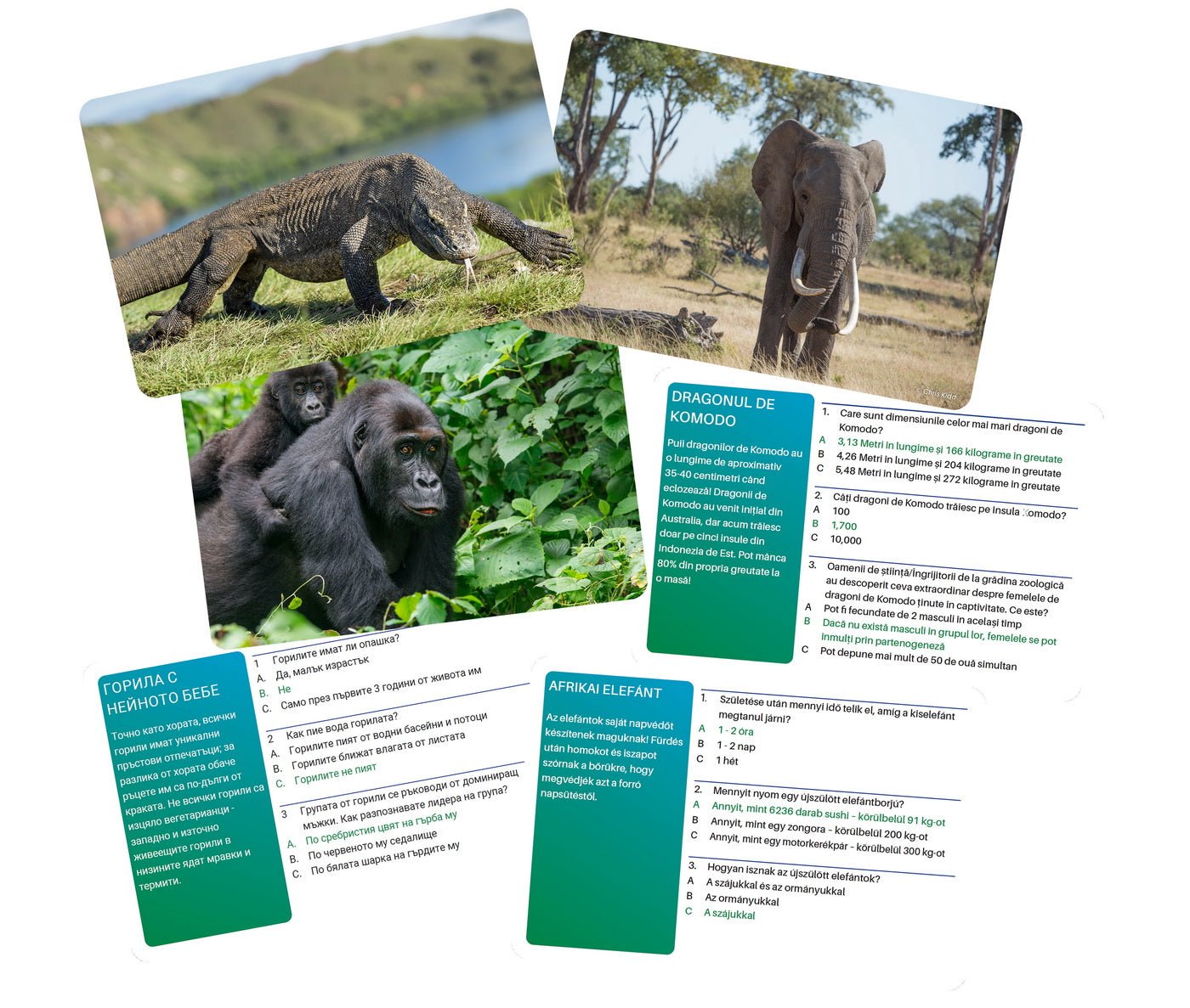 Joc interactiv lumea animalelor in limba romana, Simba - Publisol.ro