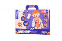Joc magnetic educativ - Anatomia Umana - mierEdu - Publisol.ro