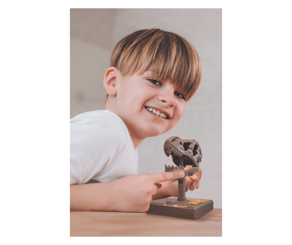 Jucarie Craniu de T - Rex cu sunete KidzLabs - 4M - Publisol.ro