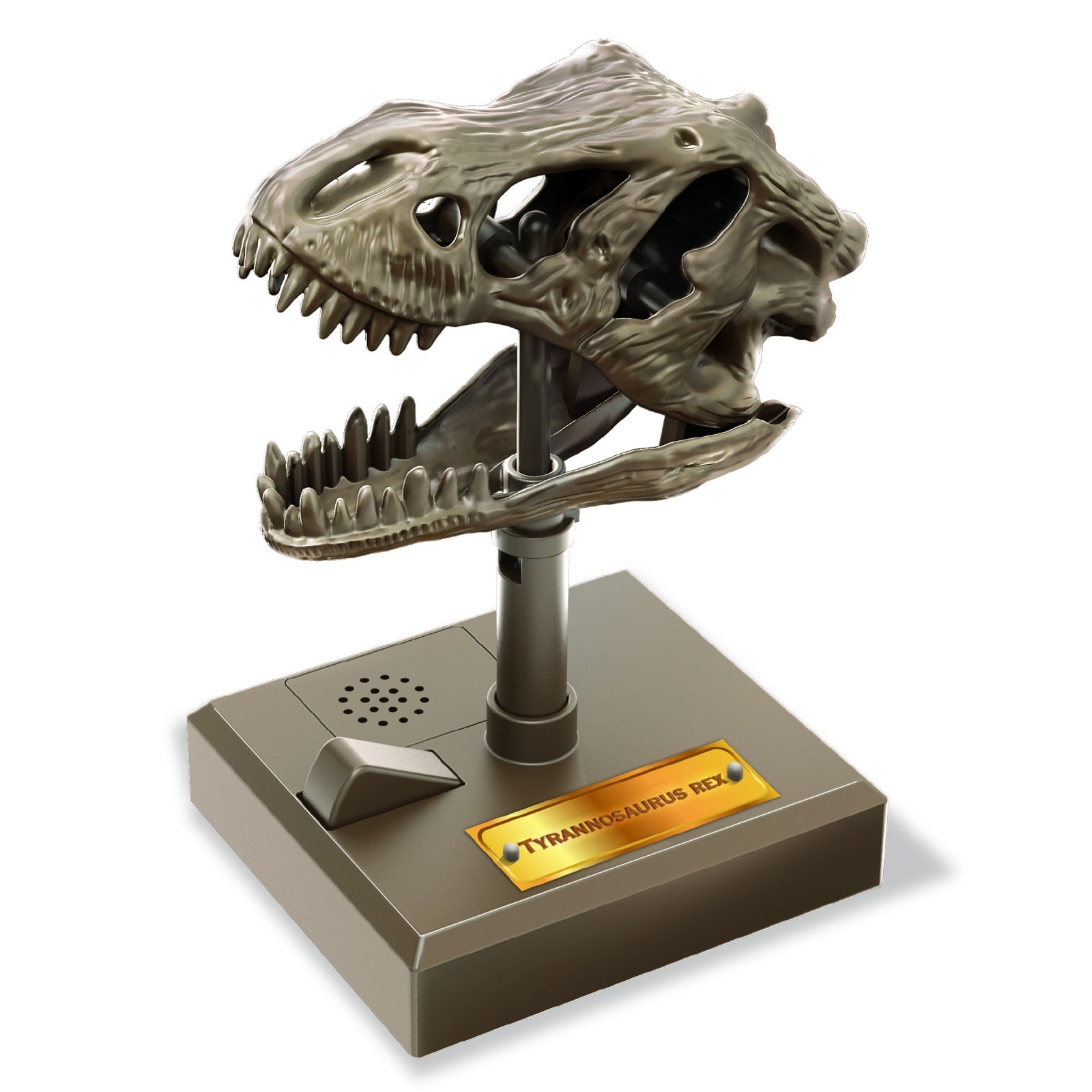 Jucarie Craniu de T - Rex cu sunete KidzLabs - 4M - Publisol.ro