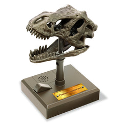 Jucarie Craniu de T - Rex cu sunete KidzLabs - 4M - Publisol.ro