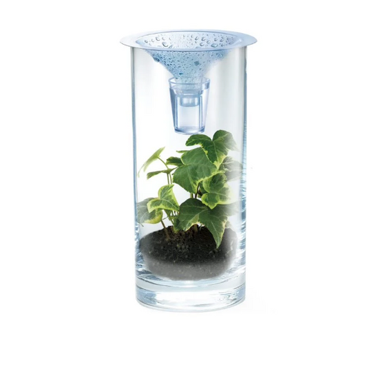 Kit stiintific Apa curata, Stiinta Verde - Green Science - 4M