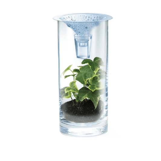 Kit stiintific Apa curata, Stiinta Verde - Green Science - 4M - Publisol.ro