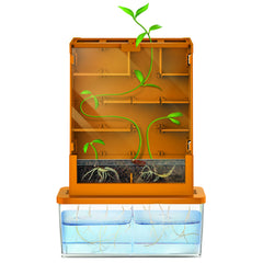 Kit stiintific - Creste un Labirint, Stiinta Verde - Green Science - 4M