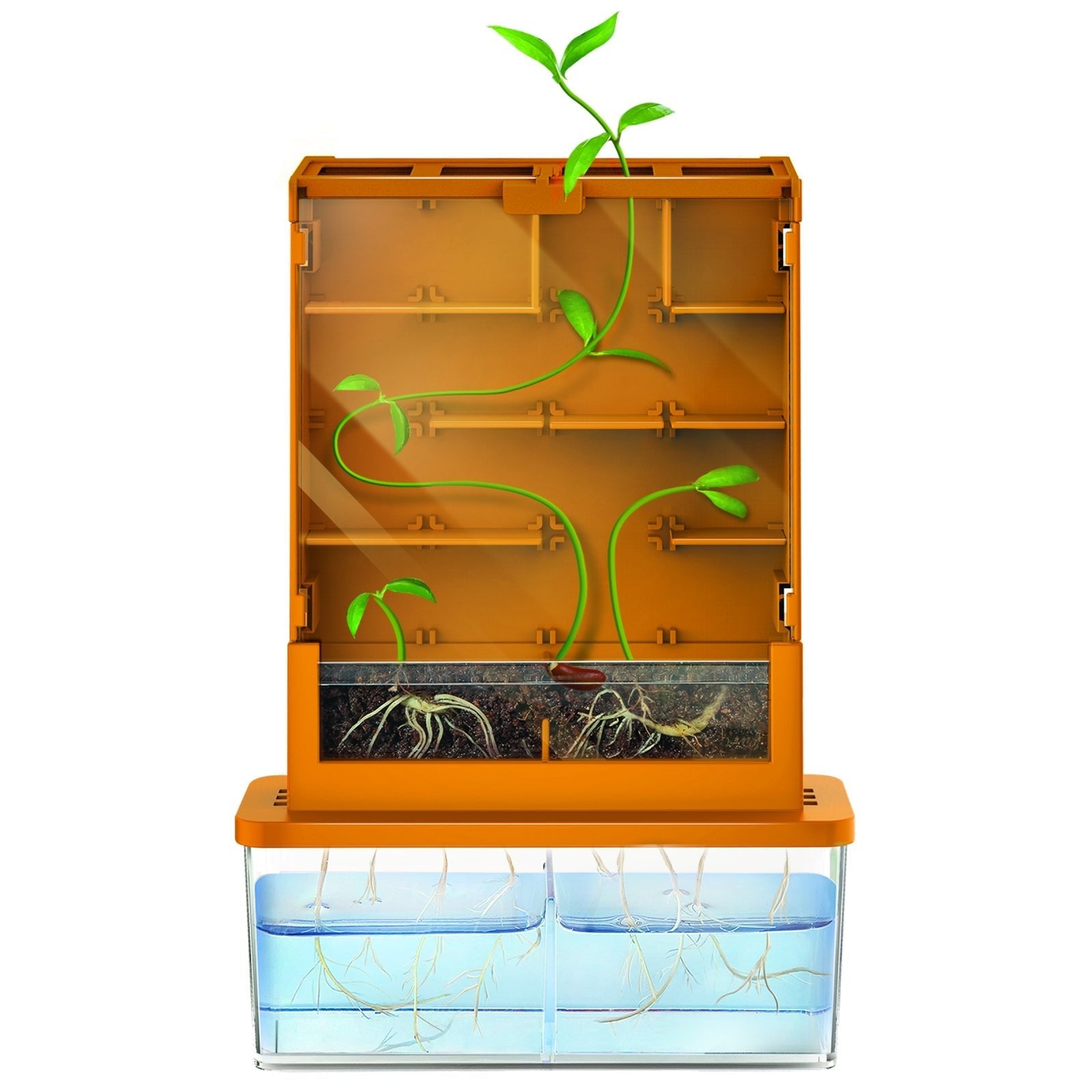 Kit stiintific - Creste un Labirint, Stiinta Verde - Green Science - 4M - Publisol.ro