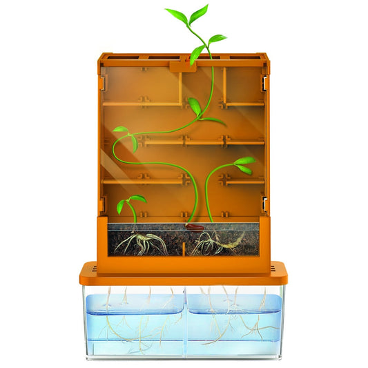 Kit stiintific - Creste un Labirint, Stiinta Verde - Green Science - 4M - Publisol.ro