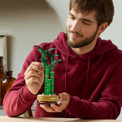 Lego botanicals bambus norocos 10344, LEGO - Publisol.ro