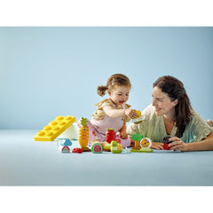 Lego duplo gradina ecologica 10984, LEGO - Publisol.ro