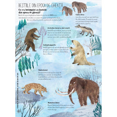 Marea carte despre bestii, de Yuval Zommer - Publisol.ro