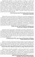 Medicina Ancestrala, de Daniel Foor, Ph. D - Publisol.ro