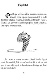 Micul print, de Antoine de Saint - Exupery - Publisol.ro