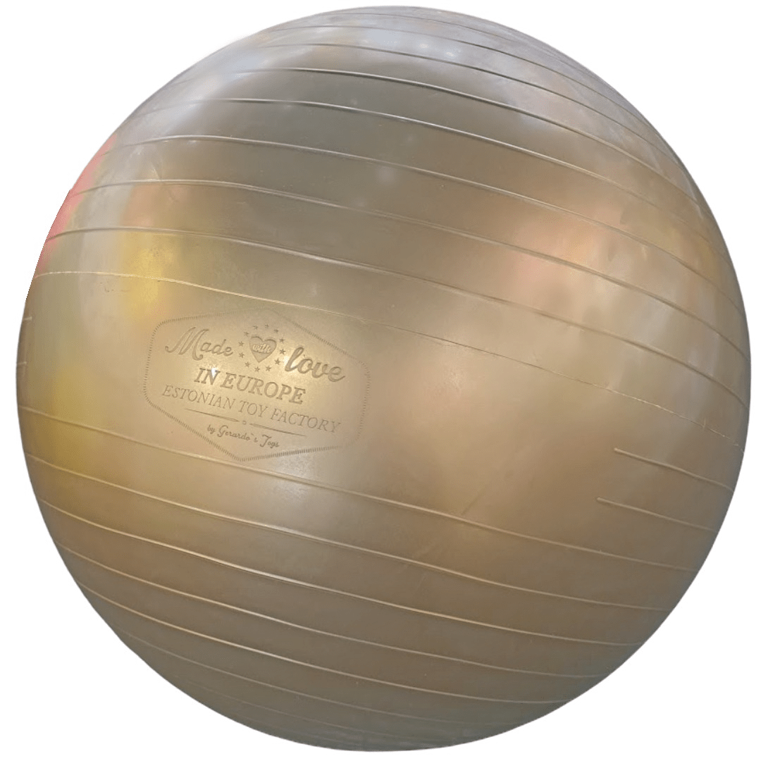 Minge exercitii Fitball - Gerardo Toys - Publisol.ro