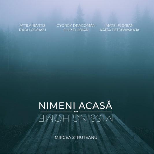 Nimeni acasa. Missing Home, de Mircea Struteanu - Publisol.ro