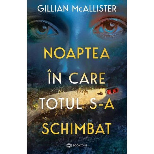 Noaptea in care totul s - a schimbat, de Gillian McAllister - Publisol.ro