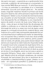 Obosita si testata, de Sophie McCartney - Publisol.ro