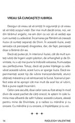Oracolul Sabiei de Lumina, de Radleigh Valentine - Publisol.ro