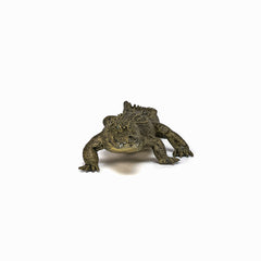 Papo figurina aligator, Papo - Publisol.ro