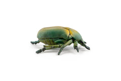 Papo figurina carabus, Papo - Publisol.ro
