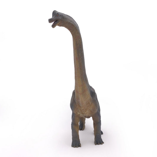 Papo figurina dinozaur brachiosaurus, Papo - Publisol.ro