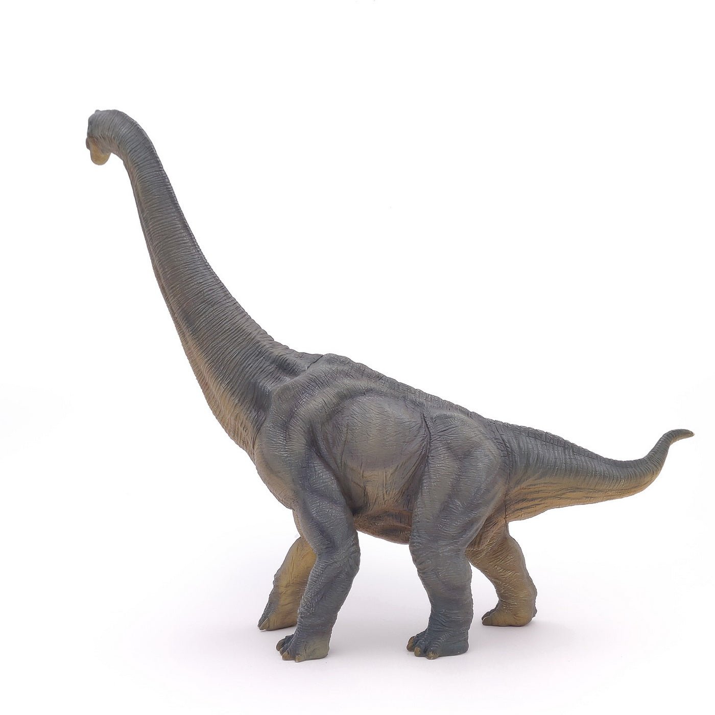 Papo figurina dinozaur brachiosaurus, Papo - Publisol.ro