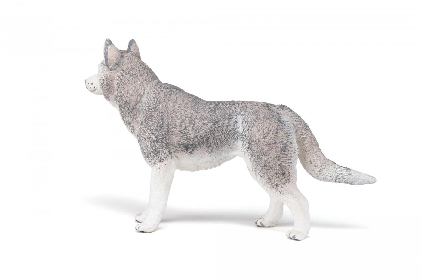 Papo figurina husky siberian, Papo - Publisol.ro