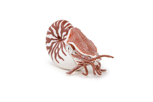 Papo figurina nautilus, Papo - Publisol.ro