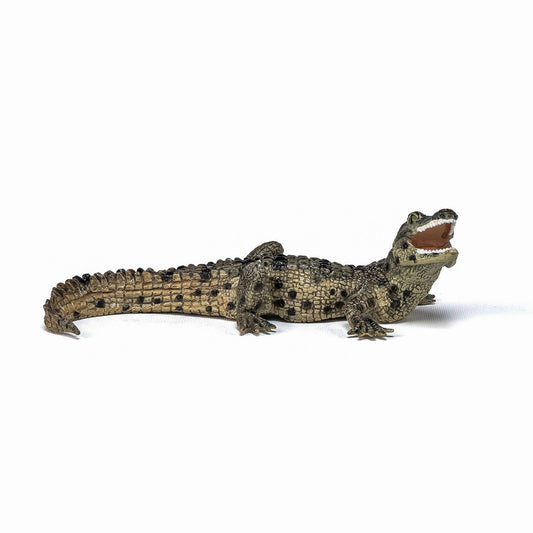 Papo figurina pui de crocodil, Papo - Publisol.ro