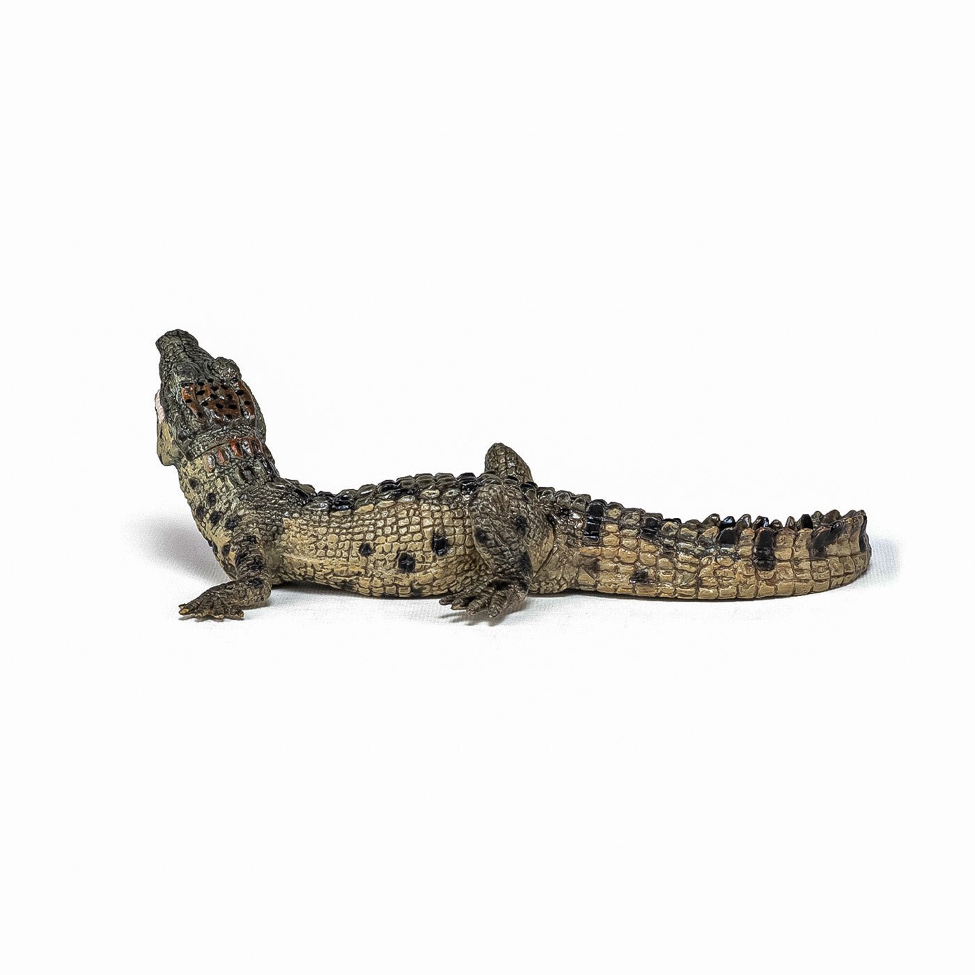 Papo figurina pui de crocodil, Papo - Publisol.ro