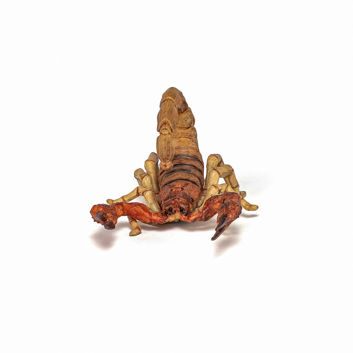 Papo figurina scorpion, Papo - Publisol.ro