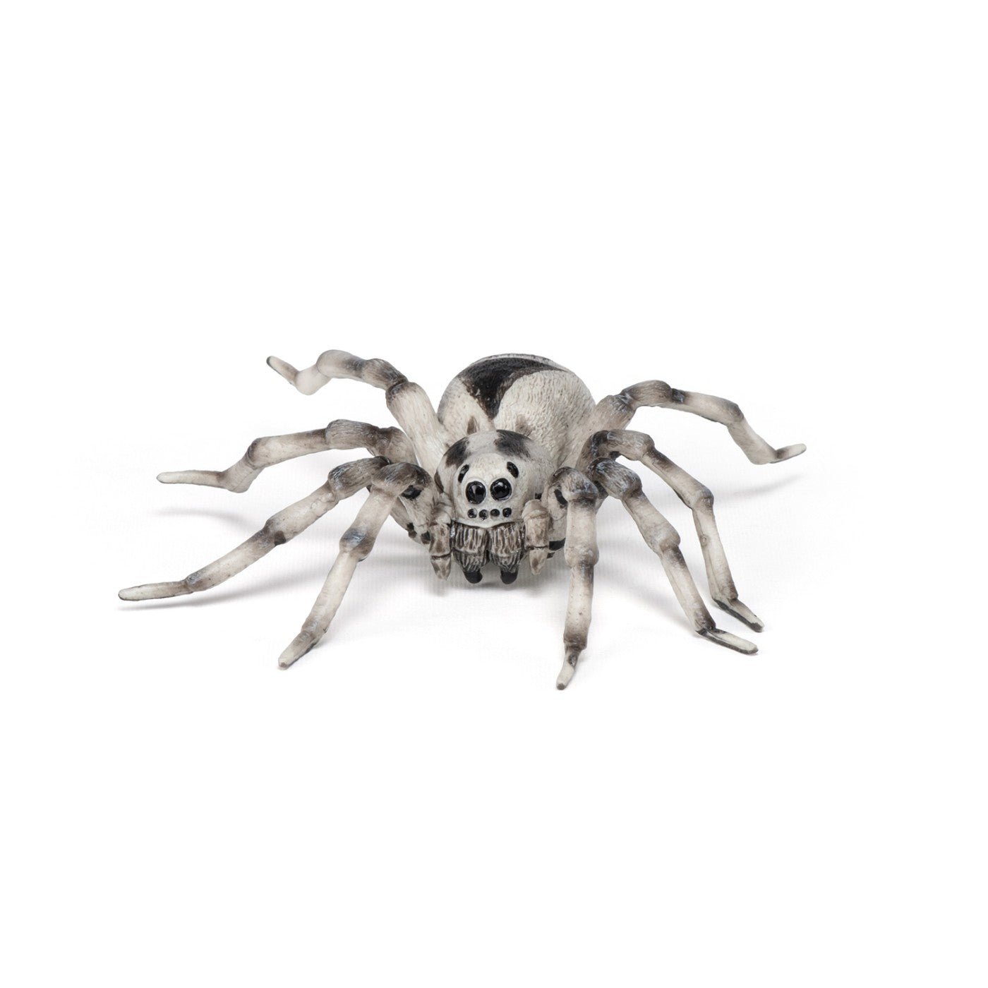 Papo figurina tarantula, Papo - Publisol.ro