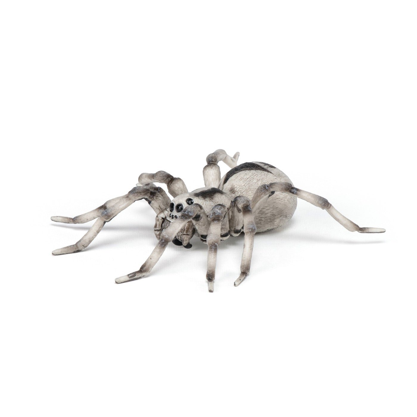 Papo figurina tarantula, Papo - Publisol.ro