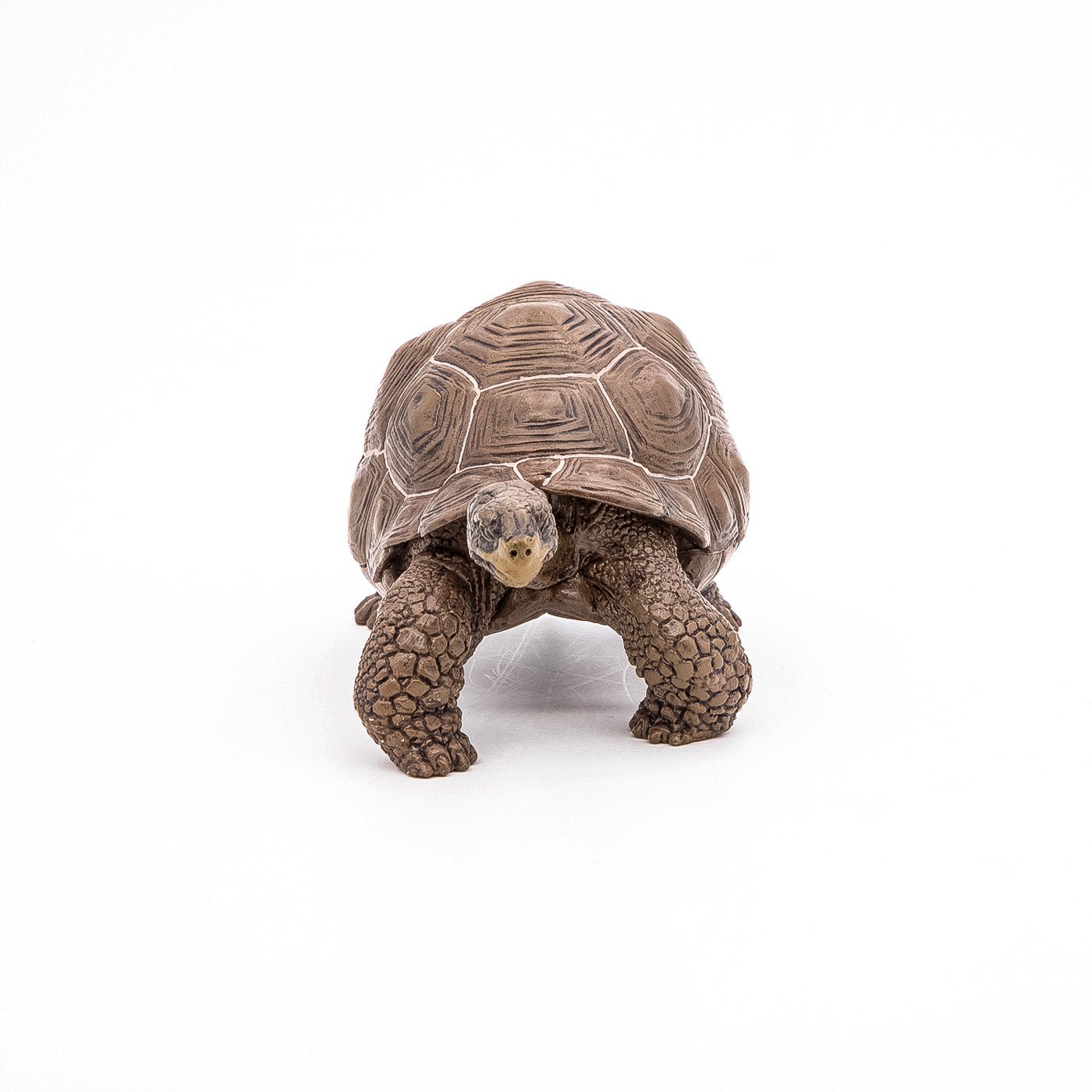 Papo figurina testoasa galapagos, Papo - Publisol.ro