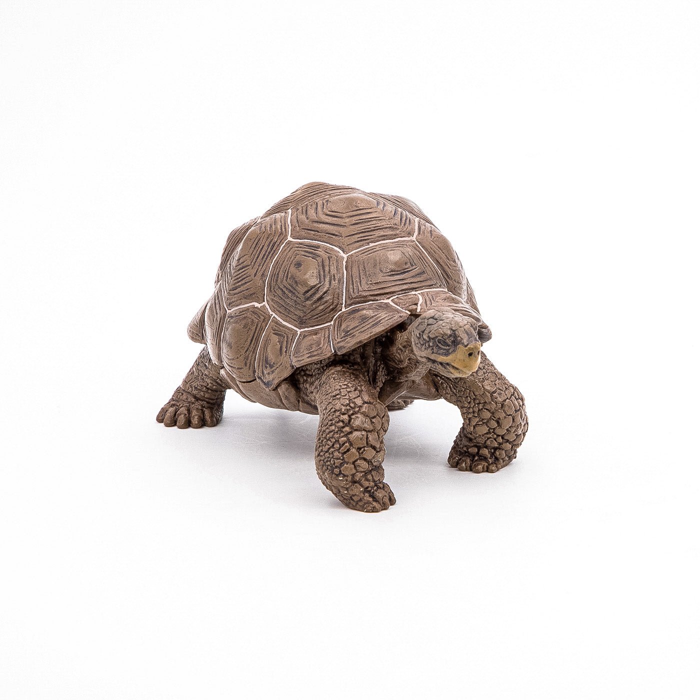Papo figurina testoasa galapagos, Papo - Publisol.ro