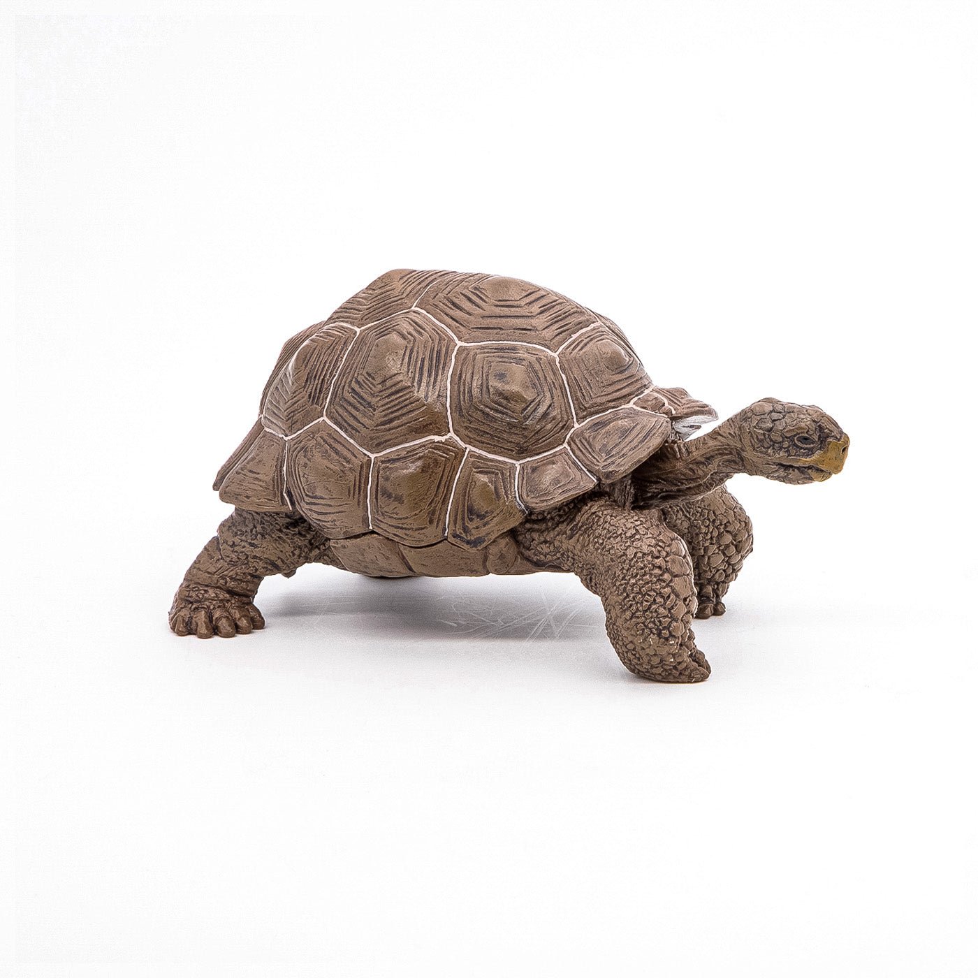 Papo figurina testoasa galapagos, Papo - Publisol.ro