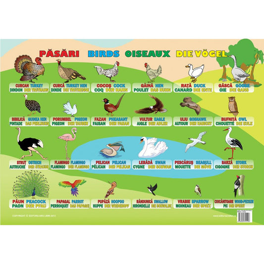 Plansa - Pasari (plansa 50x70cm, de romana, engleza, franceza, germana), de Colectiv Ars Libri