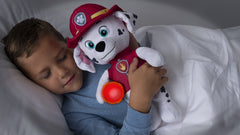 Patrula catelusilor plus snuggle up marshall cu burtica luminoasa, Spin Master - Publisol.ro