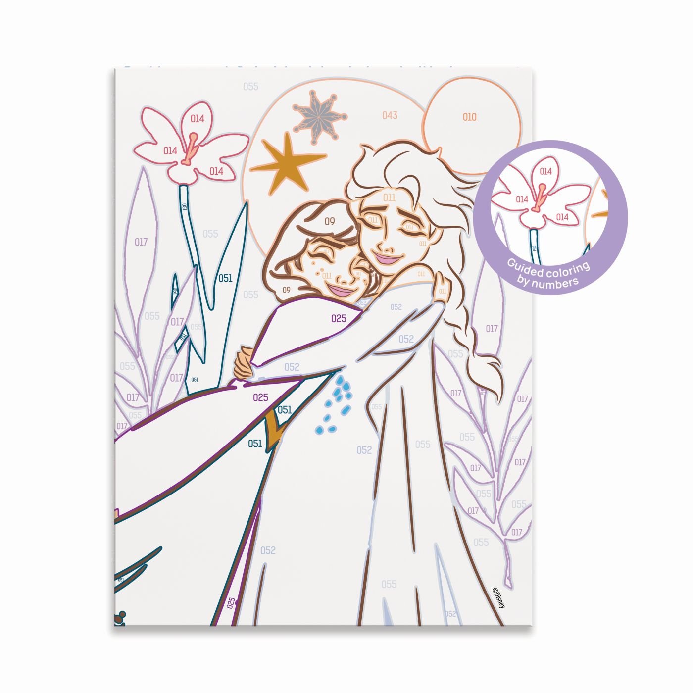 Picteaza si inrameaza Disney Frozen - Publisol.ro