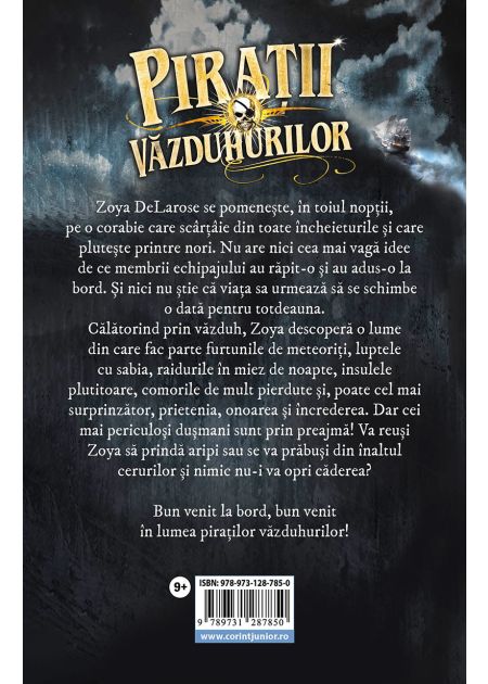 Pirații văzduhurilor - Publisol.ro