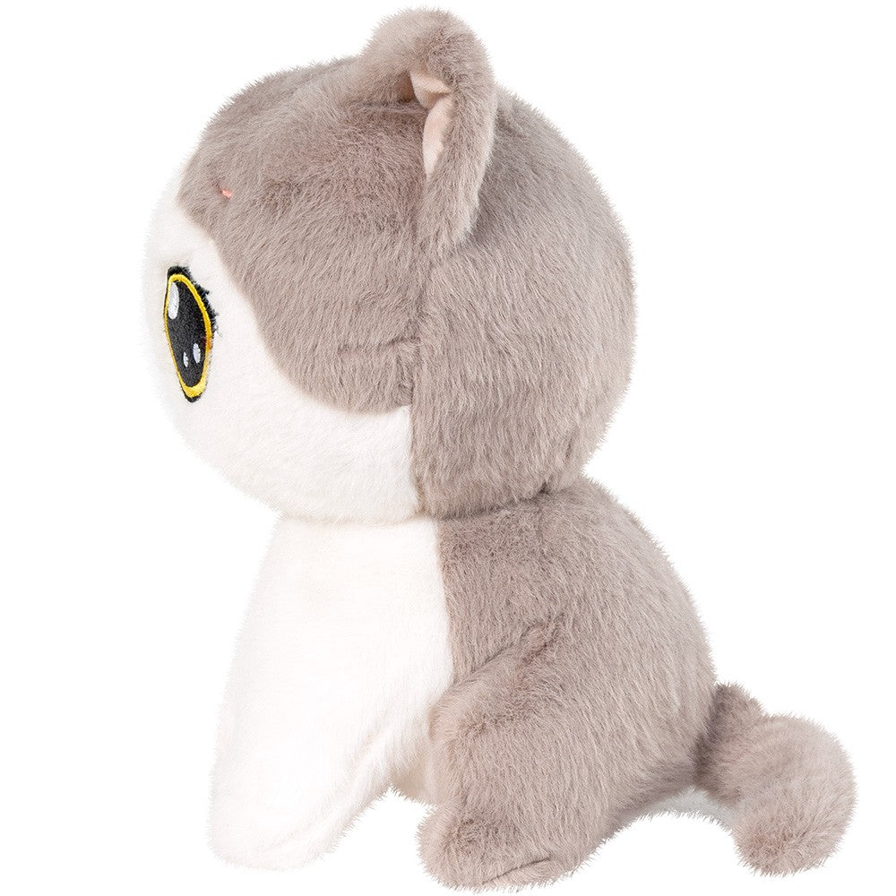 Plus pisica molly 25 cm - Publisol.ro