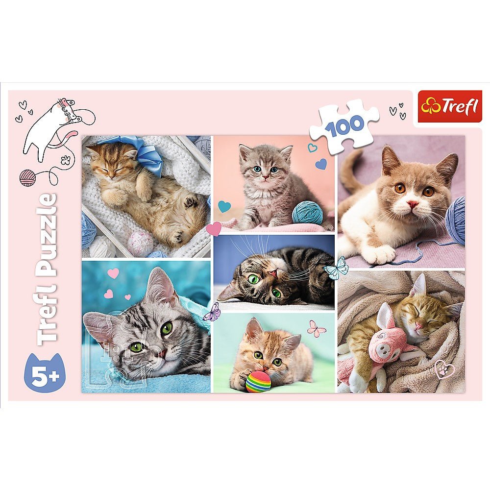 Puzzle Trefl 100 In lumea pisicilor - Publisol.ro